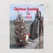 kerstboomklep Foto van Seagull Driftwood Feestdagenkaart (Voorkant)