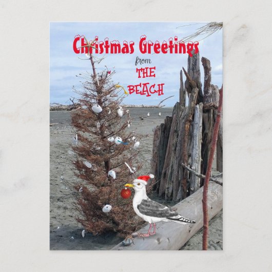 kerstboomklep Foto van Seagull Driftwood Feestdagenkaart (Voorkant)
