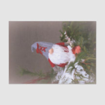 kerstboomkoorts met rode kermis