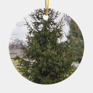 Kerstboomornament Keramisch Ornament