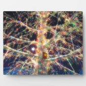 kerstboomschild fotoplaat (Voorkant)