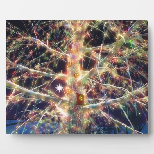 kerstboomschild fotoplaat (Voorkant)