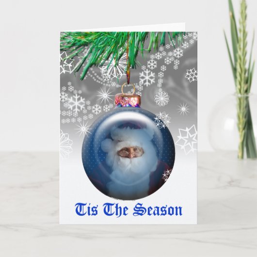 kerstboomschildpad kerstboomschildpad feestdagen kaart (Voorkant)