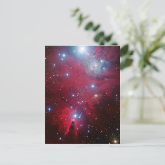 KerstboomStar-cluster Feestdagenkaart (Staand voorkant)