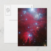 KerstboomStar-cluster Feestdagenkaart (Voorkant / Achterkant)