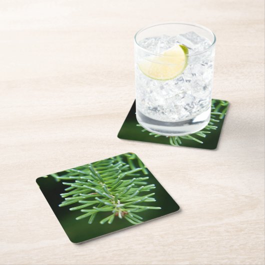 kerstboomtak kartonnen onderzetters (Insitu)