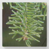 kerstboomtak stenen onderzetter (Voorkant)