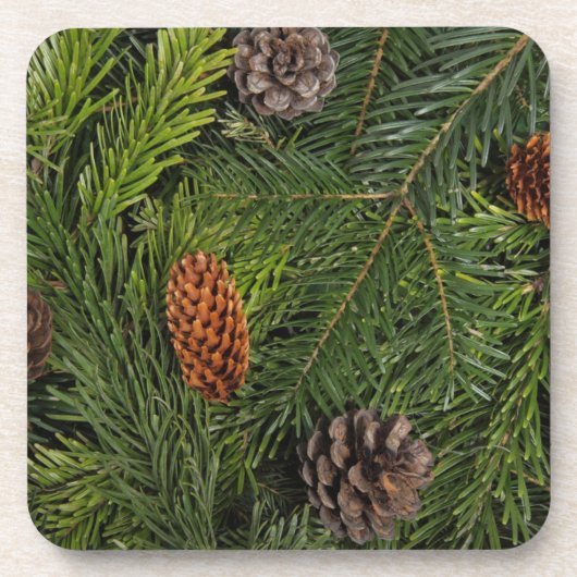 kerstboomtakken bier onderzetter (Voorkant)