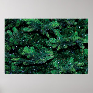 Kerstboomtwijgen met sapling-pijnboom poster