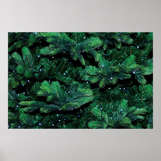 Kerstboomtwijgen met sapling-pijnboom poster (Voorkant)