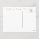 kerstboomvakantie-Briefkaart Feestdagenkaart (Achterkant)