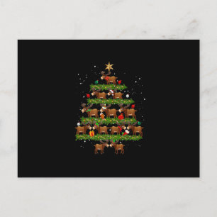 kerstboomverlichting Funny Xmas Match Fam Briefkaart