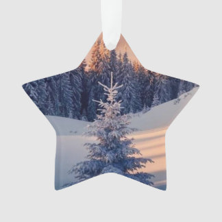 Kerstboomversiering, sterren ornament