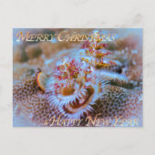 Kerstboomworm Briefkaart (Voorkant)