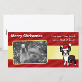 KerstBoston Terrier Feestdagenkaart (Voorkant / Achterkant)