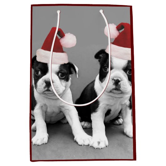 KerstBoston Terriers medium Gift Bag Medium Cadeauzakje (Voorkant)