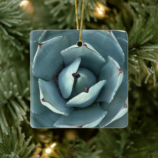 Kerstbotanisch groen Succulent Keramisch Ornament (Boom)