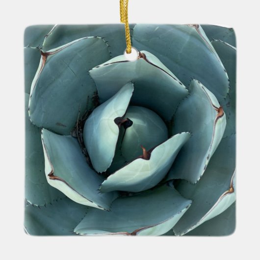 Kerstbotanisch groen Succulent Keramisch Ornament (Voorkant)