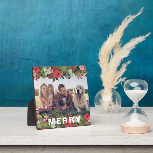 Kerstbotanische feestdag met feestdag fotoplaat (Insitu)