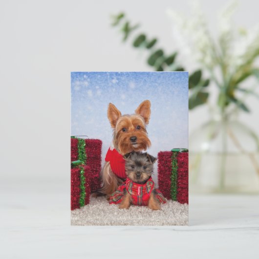 Kerstboten Feestdagenkaart (Staand voorkant)