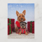 Kerstboten Feestdagenkaart (Voorkant)