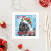 KerstBouvier Servet (Insitu)