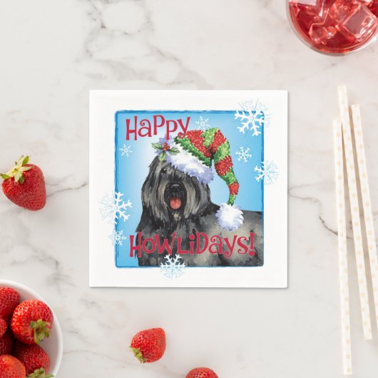 KerstBouvier Servet (Insitu)