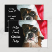 kerstboxer Dog Kaart (Voorkant / Achterkant)