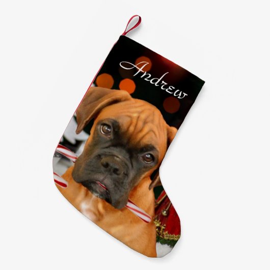 Kerstboxer-hond Kleine Kerstsok (Voorkant (Hangend))