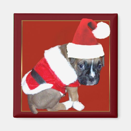 Kerstboxer puppy magneet (Voorkant)