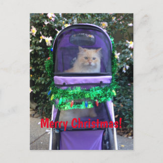 kerstbriefkaart briefkaart