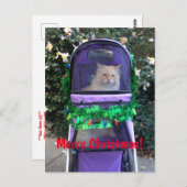 kerstbriefkaart briefkaart (Voorkant / Achterkant)