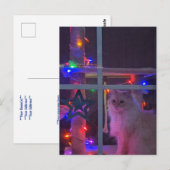 kerstBriefkaart Briefkaart (Voorkant / Achterkant)