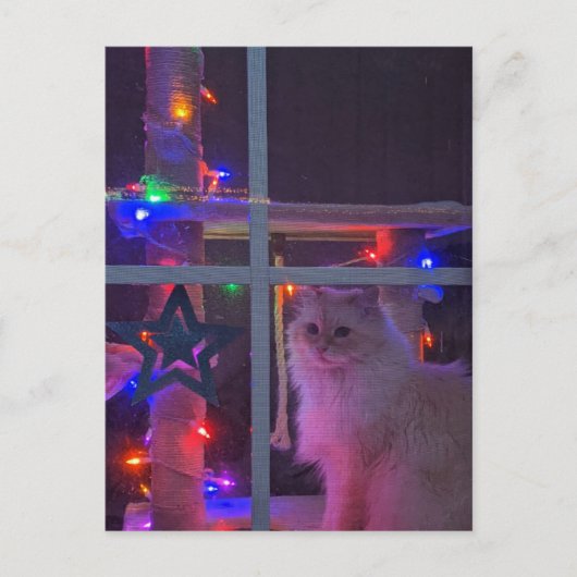 kerstBriefkaart Briefkaart (Voorkant)