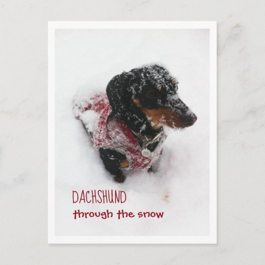 kerstBriefkaart - Dachshund door de sneeuw Briefkaart (Voorkant)