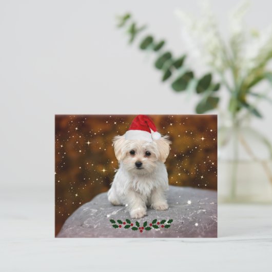 KerstBriefkaart met Afbeelding Maltees Briefkaart (Staand voorkant)