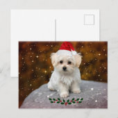 KerstBriefkaart met Afbeelding Maltees Briefkaart (Voorkant / Achterkant)