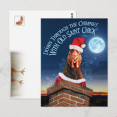 KerstBriefkaart - Old Saint Chick Briefkaart (Voorkant / Achterkant)