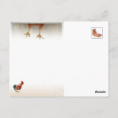 KerstBriefkaart - Old Saint Chick Briefkaart (Achterkant)