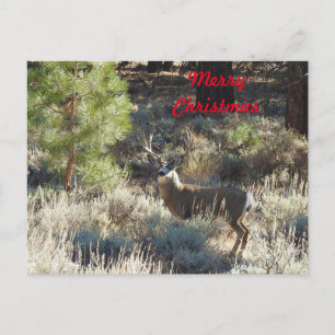 Kerstbriefkaart, wilde dieren, buck, hunter briefkaart