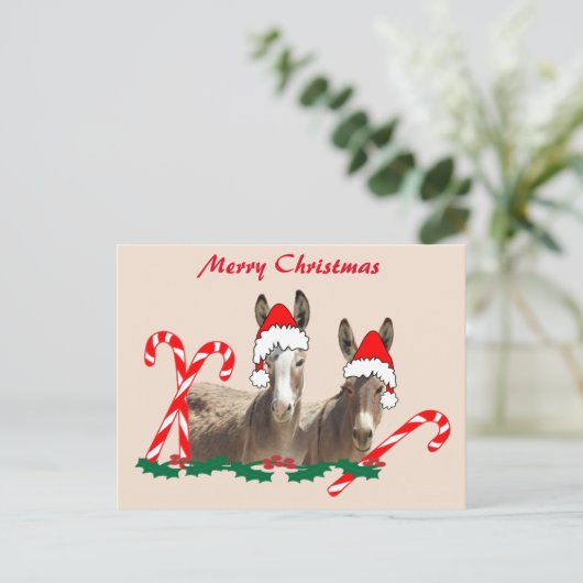 Kerstbriefkaart, wilde dieren, ezels briefkaart (Staand voorkant)