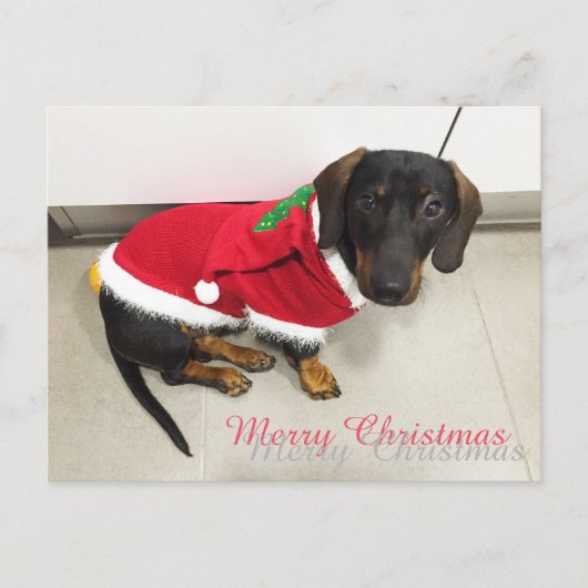 kerstbriefkaarten feestdagenkaart (Voorkant)