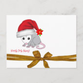 KerstBriefkaarten Noordpool Opossum Briefkaart (Voorkant)