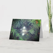 Kerstbubbel Feestdagen Kaart (Voorkant)