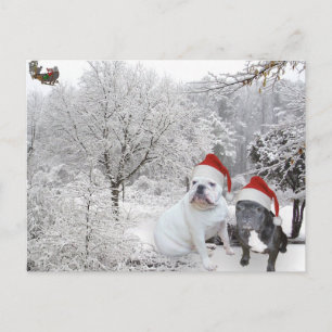 Kerstbulldogs 1 feestdagenkaart