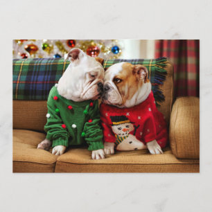 Kerstbulldogs in Truien Kaart
