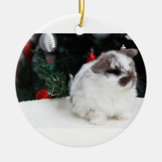 KerstBunny Keramisch Ornament