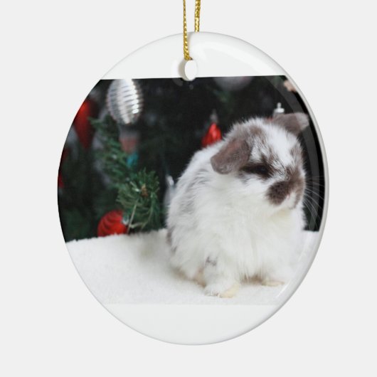 KerstBunny Keramisch Ornament (Links)