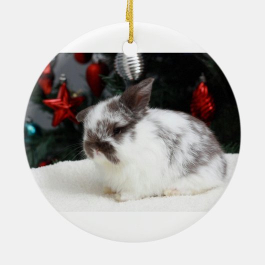 KerstBunny Keramisch Ornament (Achterkant)