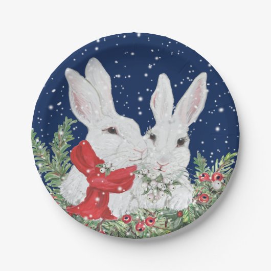 KerstBunny Rabbits Winter Holiday Blue Cute Papieren Bordje (Voorkant)